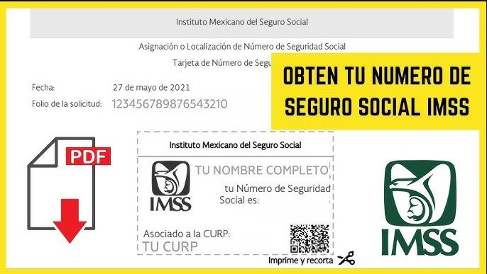 Consulta tu NSS con CURP en 2025: Paso a paso fácil y rápido
